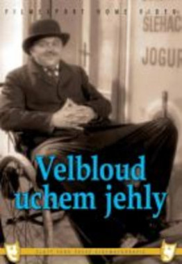  Velbloud uchem jehly (DVD)